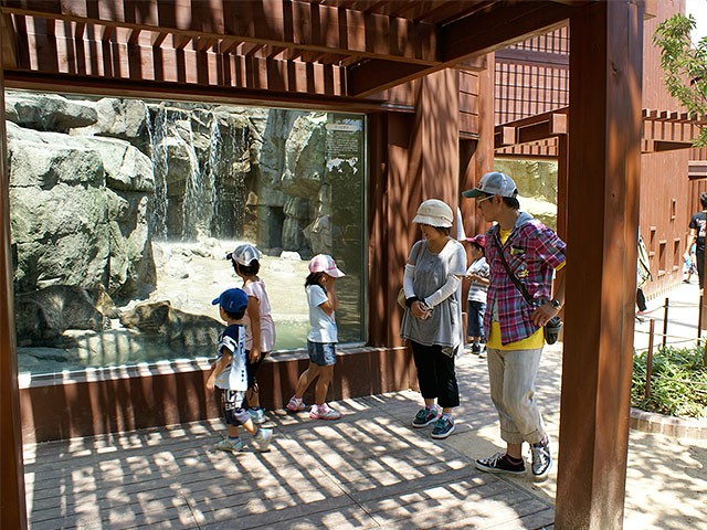 神戸市立王子動物園クマ舎