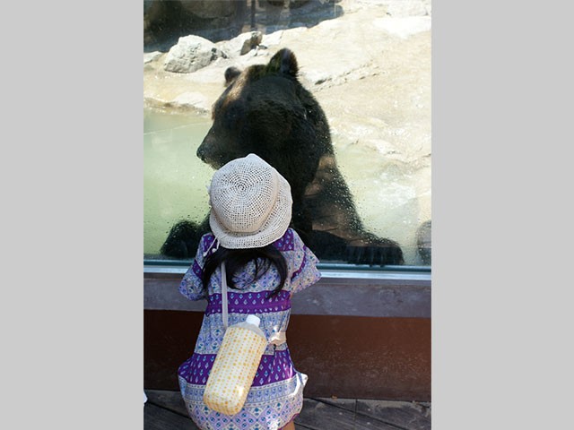 神戸市立王子動物園クマ舎