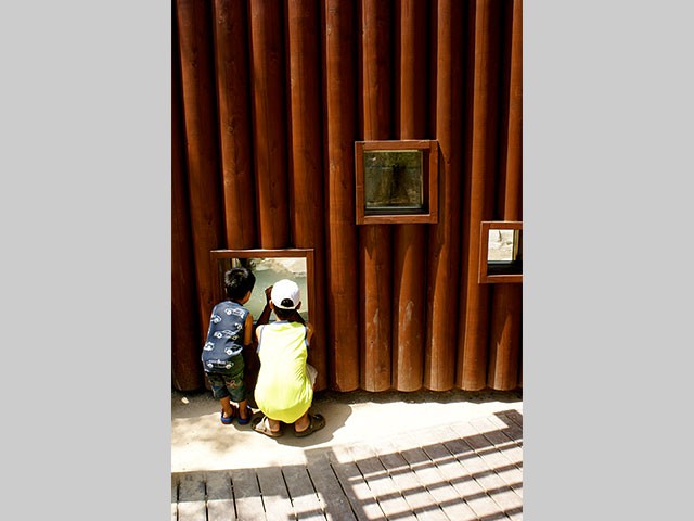 神戸市立王子動物園クマ舎