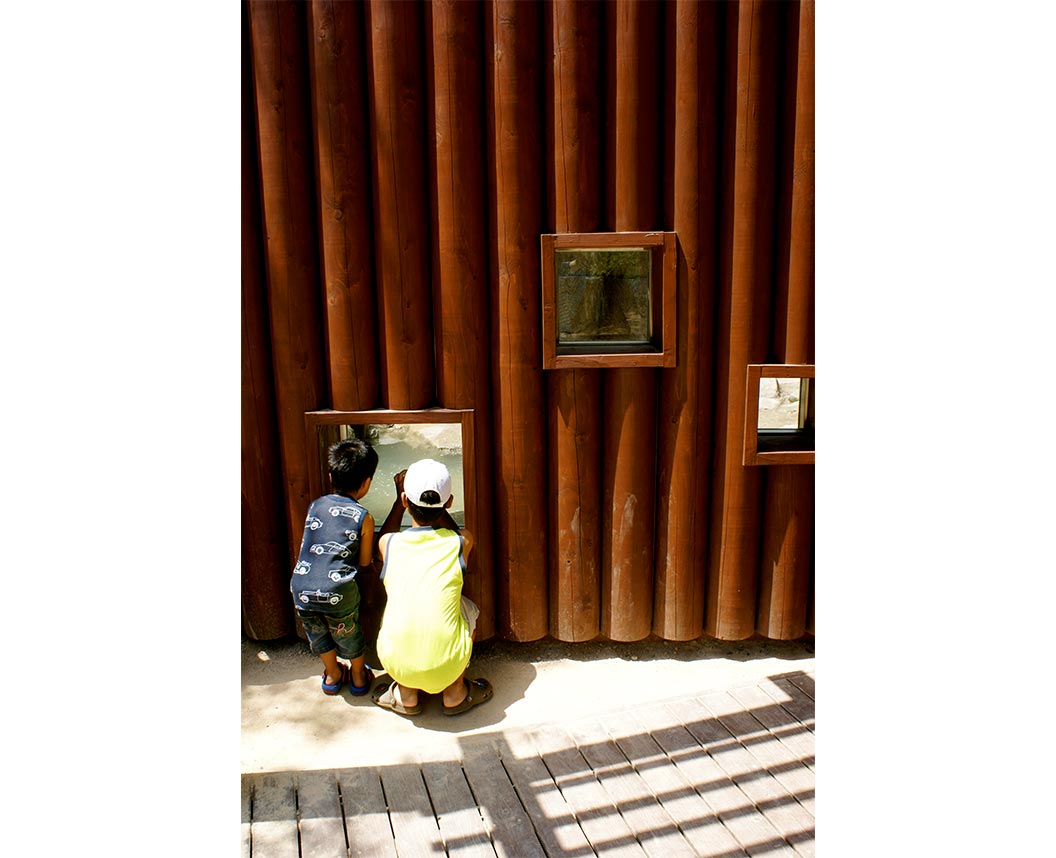 神戸市立王子動物園クマ舎