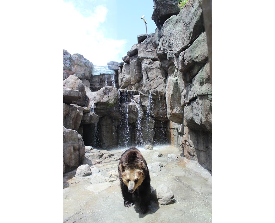 神戸市立王子動物園クマ舎