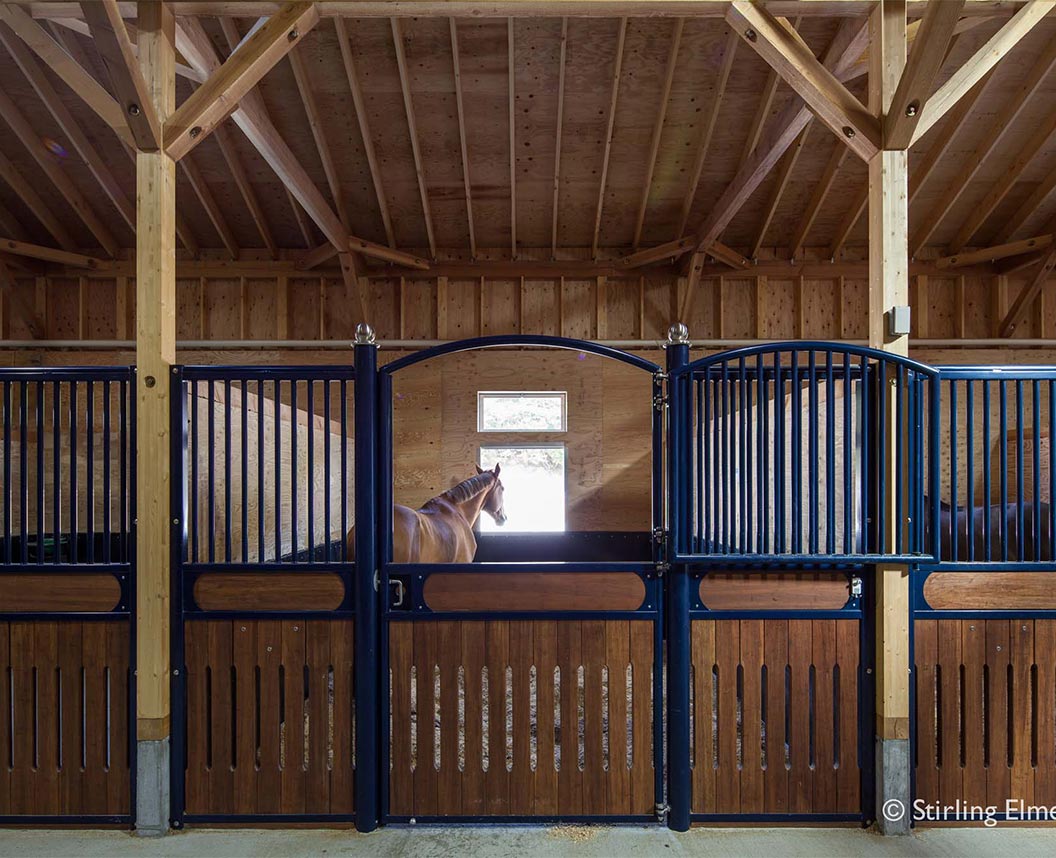 亀岡乗馬クラブ