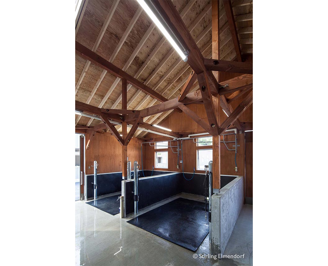 亀岡乗馬クラブ