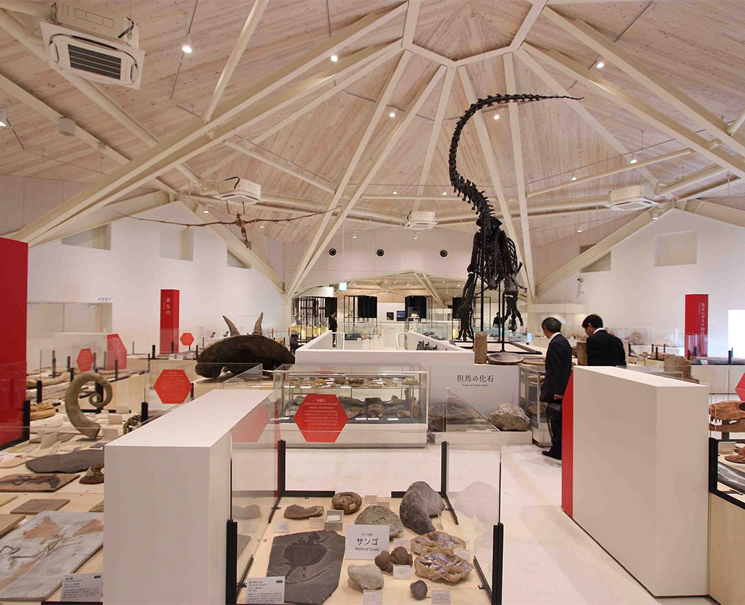 玄武洞ミュージアム